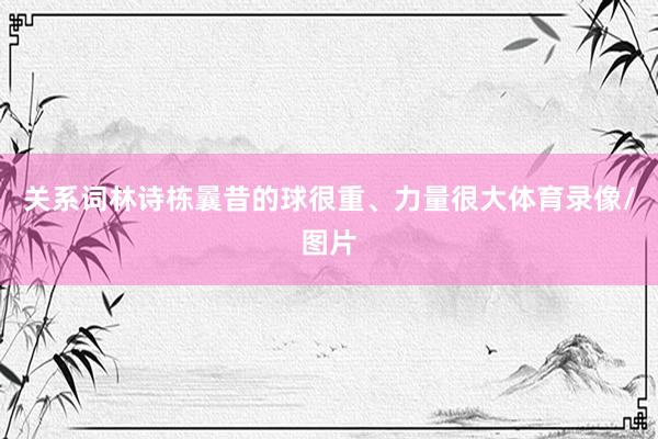关系词林诗栋曩昔的球很重、力量很大体育录像/图片