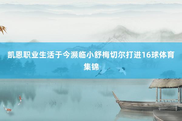 凯恩职业生活于今濒临小舒梅切尔打进16球体育集锦