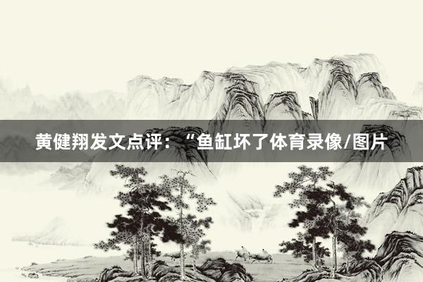 黄健翔发文点评：“鱼缸坏了体育录像/图片