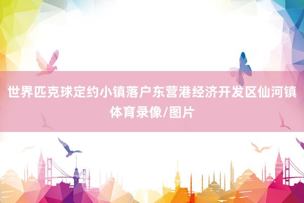 世界匹克球定约小镇落户东营港经济开发区仙河镇体育录像/图片