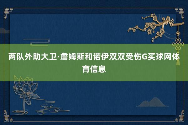 两队外助大卫·詹姆斯和诺伊双双受伤G买球网体育信息