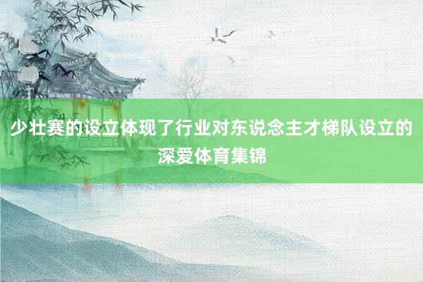 少壮赛的设立体现了行业对东说念主才梯队设立的深爱体育集锦
